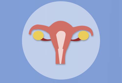 备孕期，体内孕酮值低影响受孕怎么办?